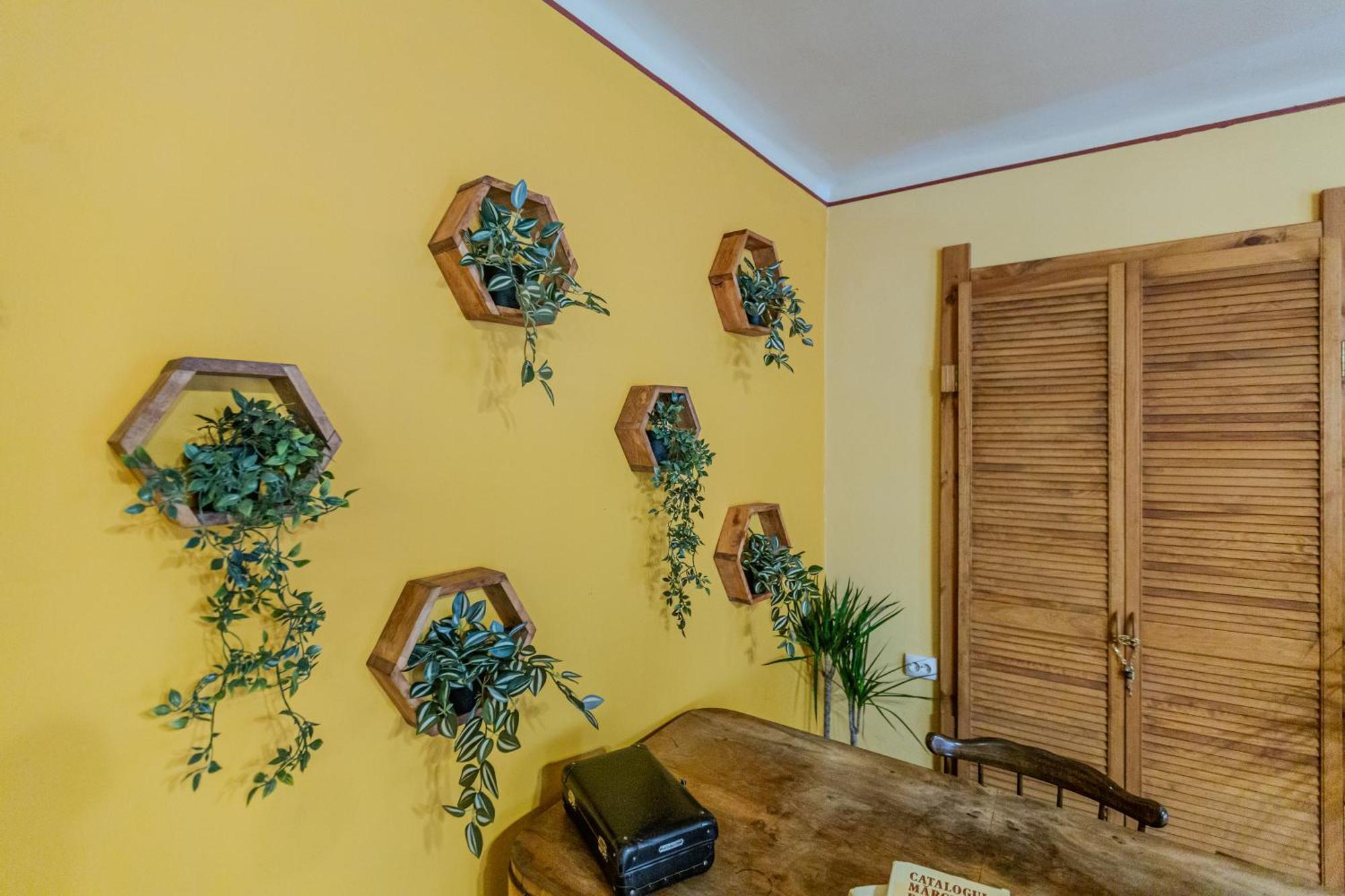 Ferienwohnung Tree House-Old Town Brașov Exterior foto
